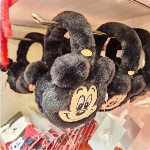 [12/19/2024-14:55-550] Muffler mickey 