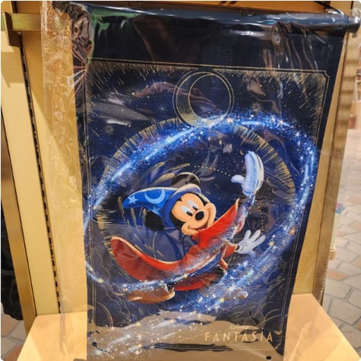 [12/19/2024-17:14-650] Mickey Fantasia Banner can turn on 