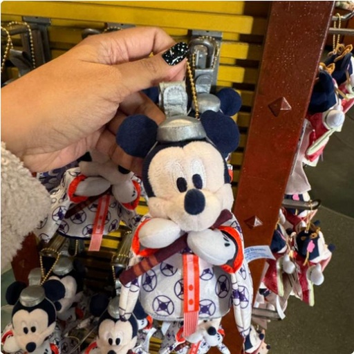 [12/20/2024-12:21-380] Mickey Jny Strap