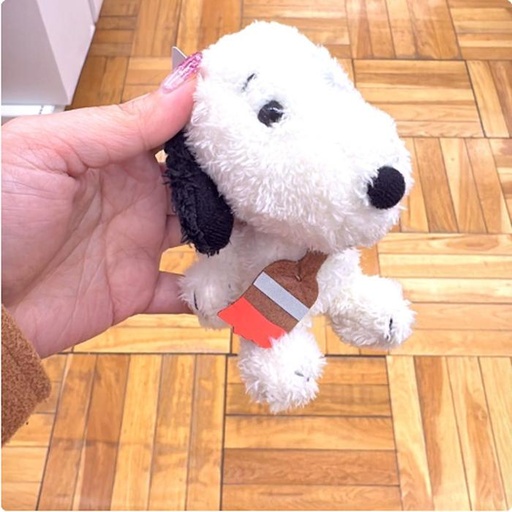 [12/23/2024-18:51-320] Maskot Snoopy