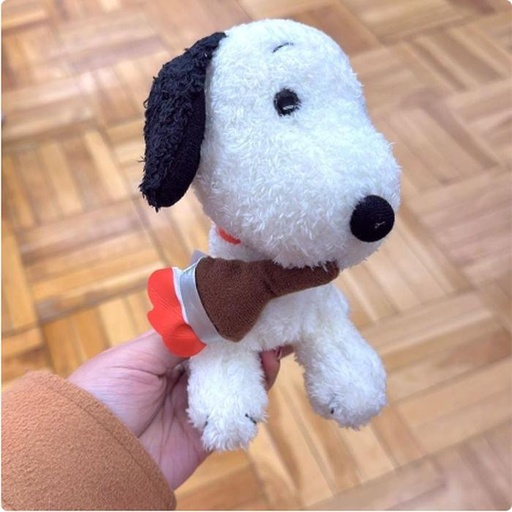 [12/23/2024-18:53-360] Mini Plush Snoopy