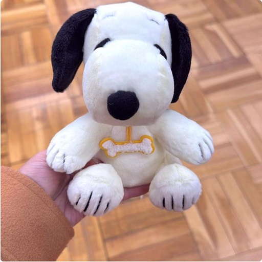 [12/23/2024-18:53-360] Mini Plush Snoopy