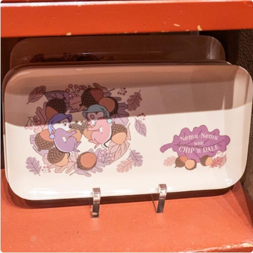 [12/24/2024-13:53-300] Dale chip tray - size 15 x 28 cm