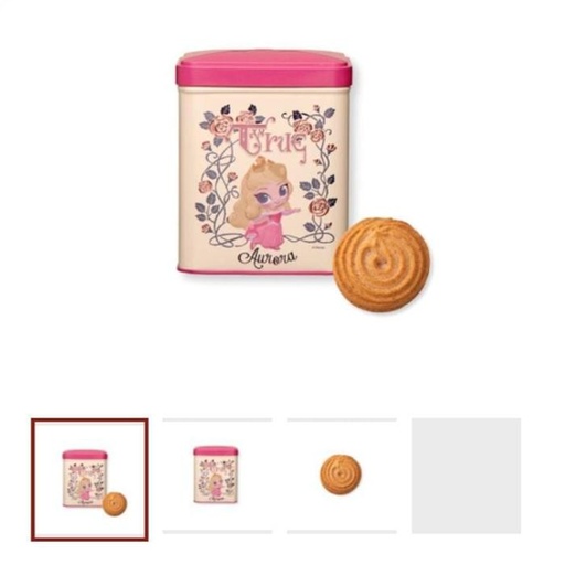 [12/26/2024-11:48-230] KWB X Disney - Aurora Tincase with Cookie 