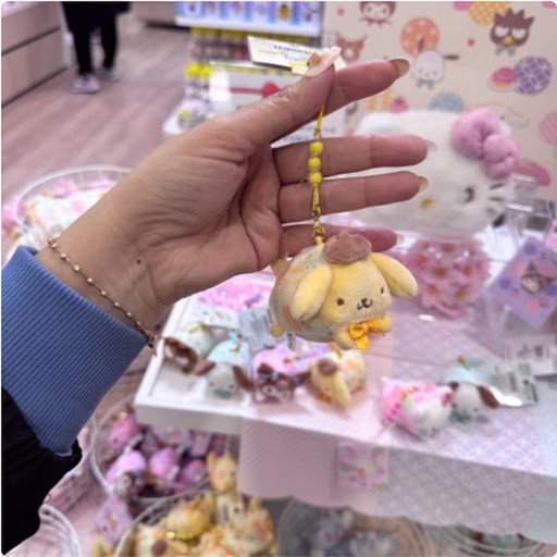 [12/26/2024-14:46-210] Strap ala Tsum2 Pompompurin