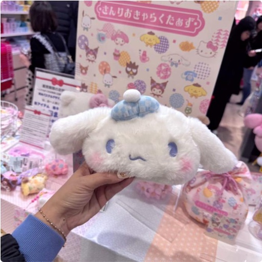 [12/26/2024-14:49-440] Pouch Cinnamoroll