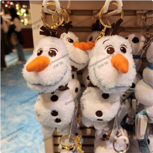 [12/27/2024-10:08-370] Strap Olaf 