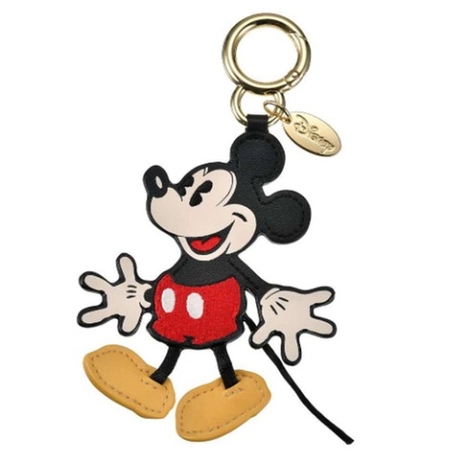 [12/27/2024-12:05-335] Mickey Keychain 