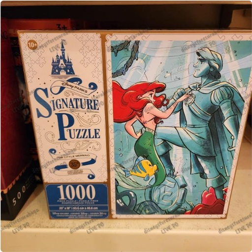 [12/27/2024-12:58-580] Signature Puzzle Ariel 1000 Pcs 
