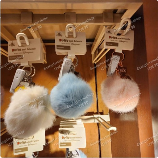 [12/27/2024-13:22-300] Duffy and Friends Complete Fur Keychain 