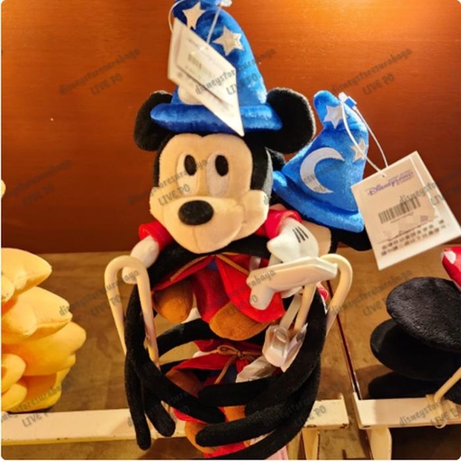 [12/27/2024-13:23-520] Fantasia Headband 
