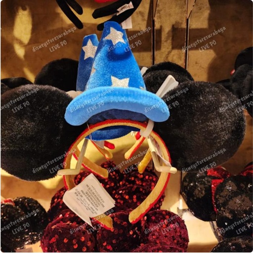 [12/27/2024-13:23-420] Fantasia Headband 
