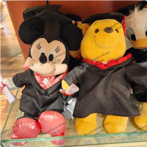 [12/27/2024-13:30-570] Graduation Plush Minnie / Pooh @each