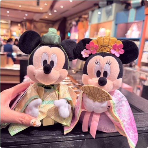 [12/27/2024-18:36-850] Plush Mickey Minnie