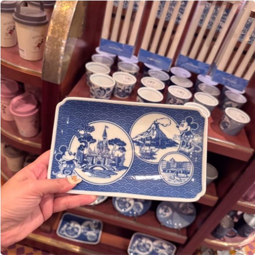 [12/27/2024-19:18-420] Ceramic Plate Square