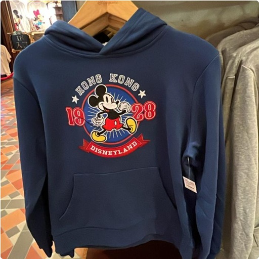 [12/28/2024-15:38-None1150] HKDL Jacket 