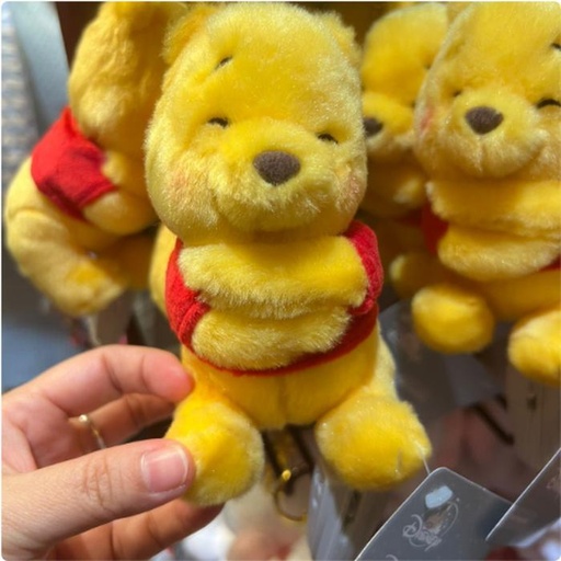[12/28/2024-15:42-400] Strap Pooh