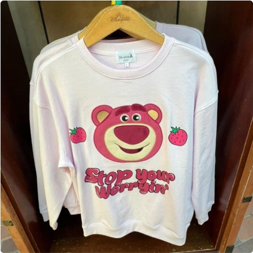 [12/28/2024-15:43-920] Lotso Sweater
