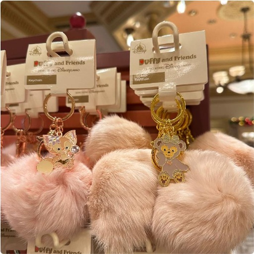 [12/28/2024-17:22-360] Bag Charm Duffy Friends 