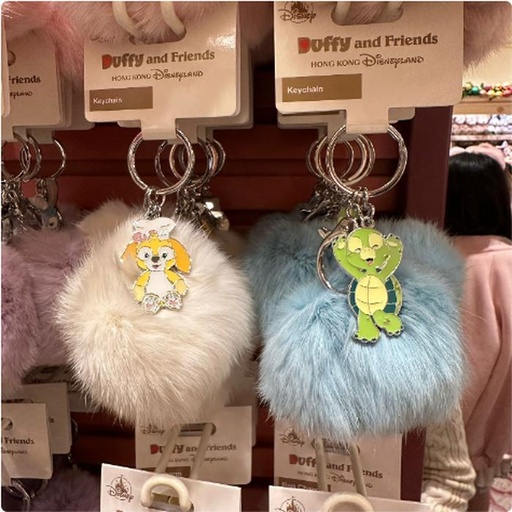 [12/28/2024-17:22-360] Bag Charm Duffy Friends