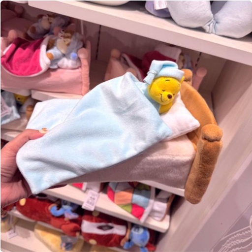 [12/28/2024-18:53-700] Tissue Cover - Pooh