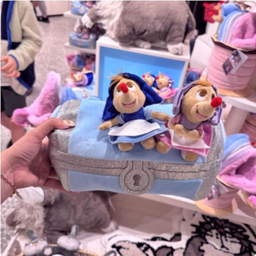 [12/28/2024-18:54-700] Tissue Cover - Cinderella