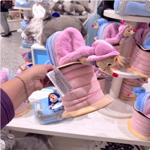 [12/28/2024-18:55-880] Cinderella Case Sets with Room Slippers
