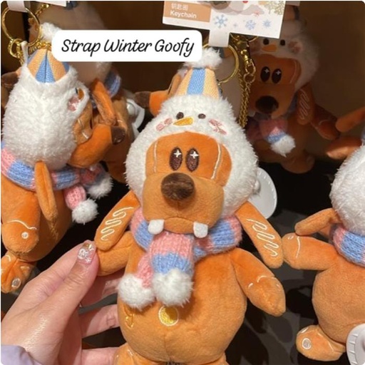 [12/29/2024-16:35-380] Strap Winter Goofy