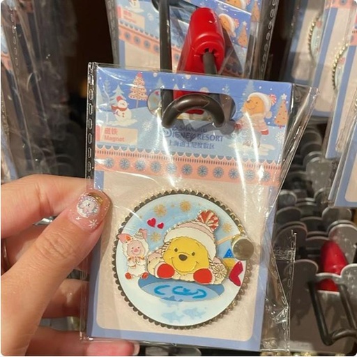 [12/29/2024-16:50-270] Magnet Pooh Winter