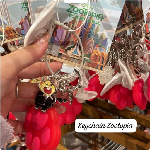 [12/30/2024-10:30-240] Keychain Zootopia