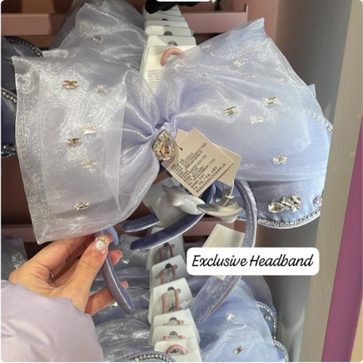 [12/30/2024-18:24-700] Exclusive Headband Princess 