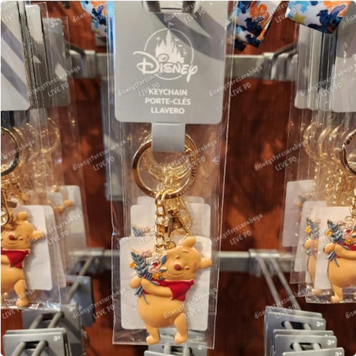[1/1/2025-18:41-200] Keychain Pooh 