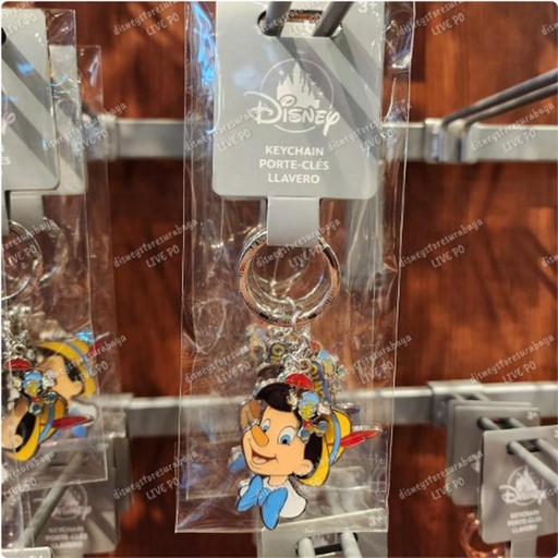 [1/1/2025-18:41-200] Keychain Pinocchio 