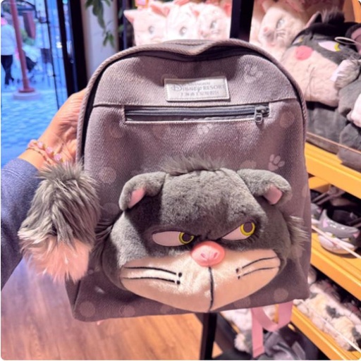 [1/2/2025-11:29-990] Backpack Luc