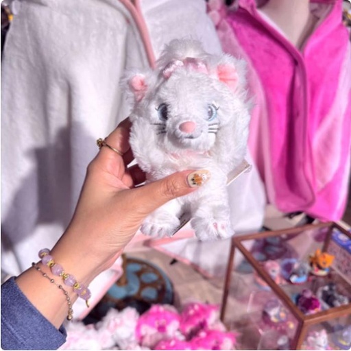 [1/2/2025-11:29-440] Magnet Shouder Plush Marie