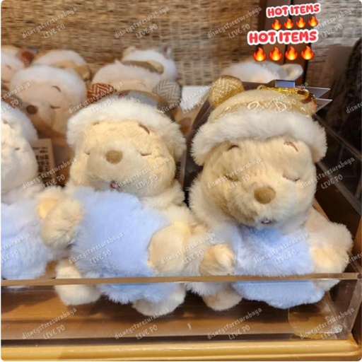 [1/2/2025-13:31-460] Strap Pooh Winter 