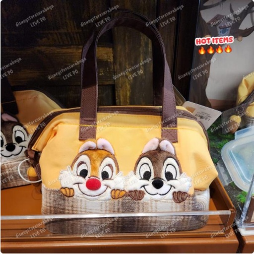 [1/2/2025-13:48-690] Lunch Bag Insulated CND 