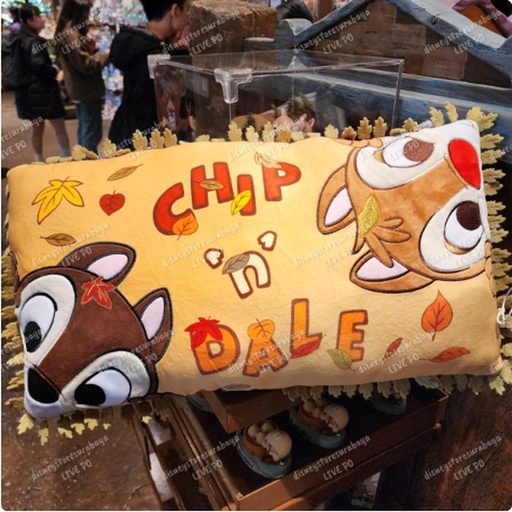 [1/2/2025-13:55-760] Big Pillow Chip Dale