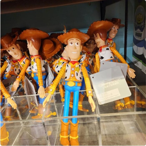 [1/2/2025-15:14-270] Woody Articulation Toy 
