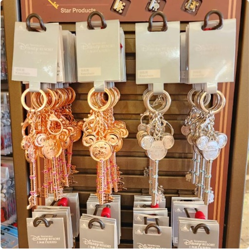 [1/2/2025-15:18-350] Keychain Key 