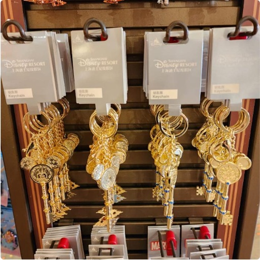 [1/2/2025-15:18-350] Keychain Key 