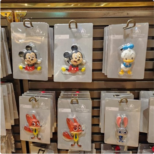 [1/2/2025-17:05-280] Full Body Magnet Disney  