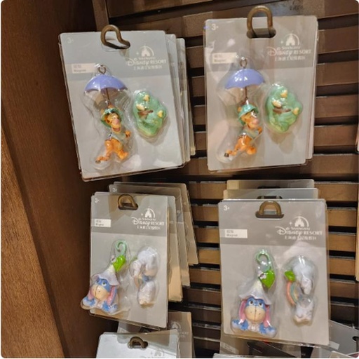 [1/2/2025-17:05-280] Pooh Magnet Disney  