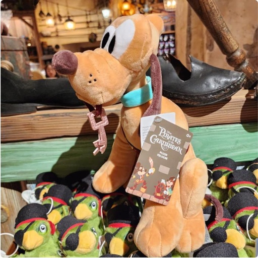 [1/2/2025-17:07-620] Plush Pluto Exclusive Pirates 
