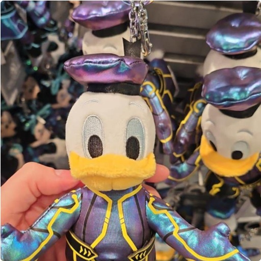 [1/6/2025-10:19-420] Keychain Strap Donald 