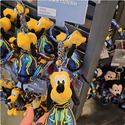 [1/6/2025-10:20-420] Keychain Strap Pluto Tron