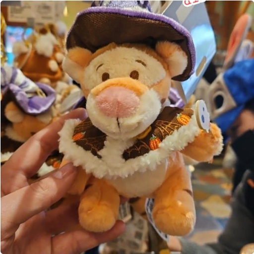 [1/6/2025-15:10-390] Keychain Tigger Halloween 