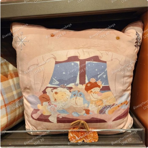 [1/7/2025-10:25-930] Blanket Pillow Pooh Winter 