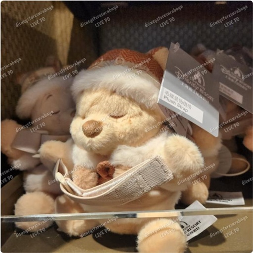 [1/7/2025-11:15-550] Plush Strap Winter Pooh 