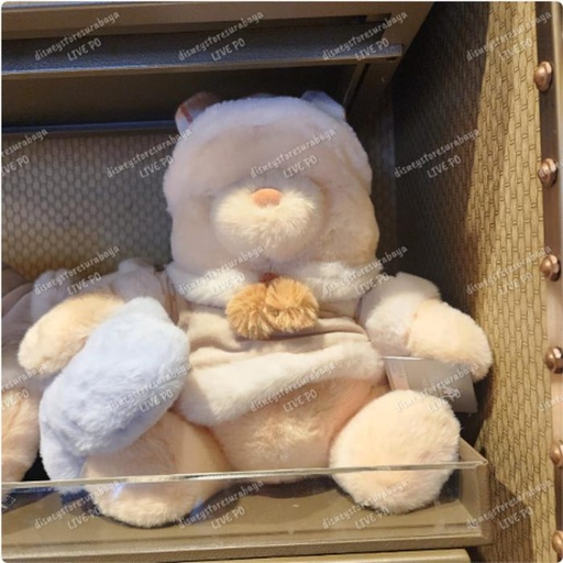 [1/7/2025-11:17-790] Plush Winter Pooh 45 cm - fat and huggable really sizes  